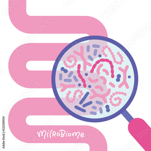 Anstarct human intestine and magnifier. Gut microbiome concept. SIBO, leaky gut syndrome and candida growth. Vector flat illustration isolated on white background.