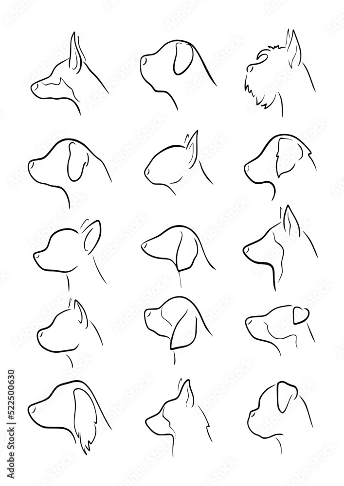 Dog Profile Drawing