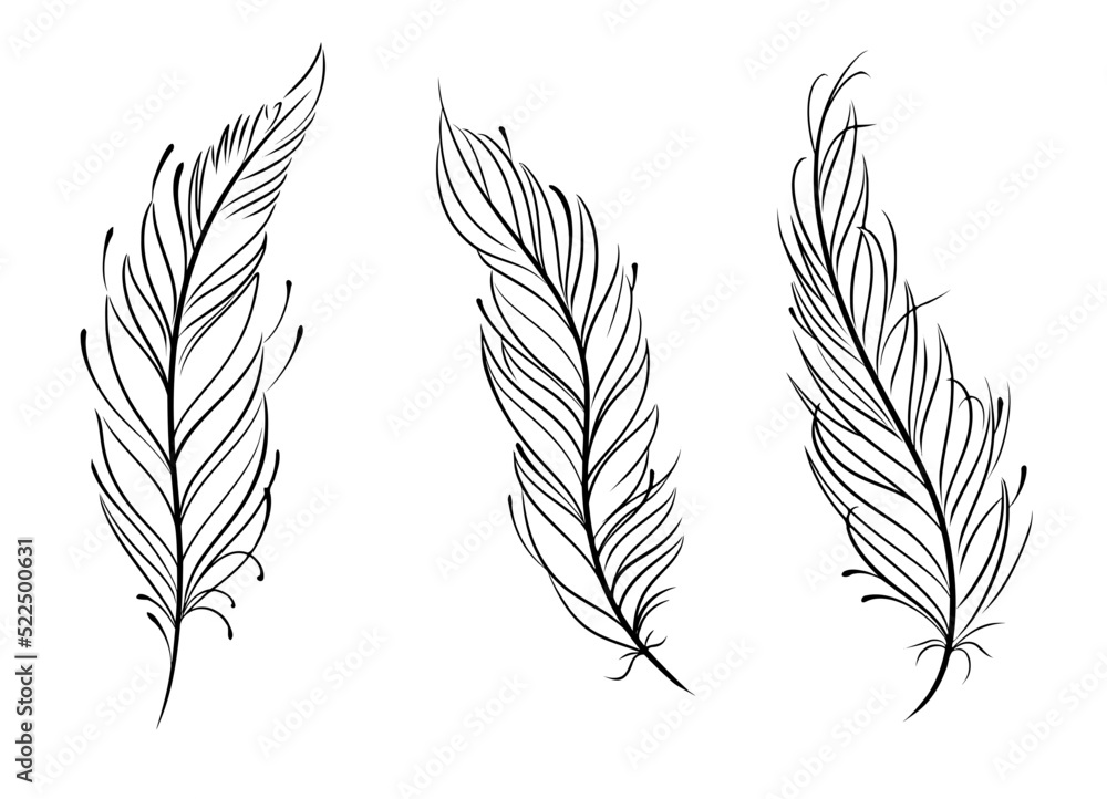 3 simple feather outline SVG vector black and white line art 3 simple feather outline SVG vector black and white line art