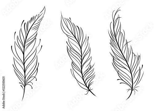 3 simple feather outline SVG vector black and white line art photo