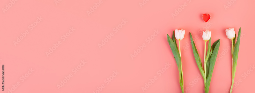 White tulip flower with heart, side view. Beautiful three white tulip flower on stem with leaves isolated on pastel pink background. Naturе object for design to women's day, mother's day, anniversary White tulip flower with heart, side view. Beautiful three white tulip flower on stem with leaves isolated on pastel pink background. Naturе object for design to women's day, mother's day, anniversary