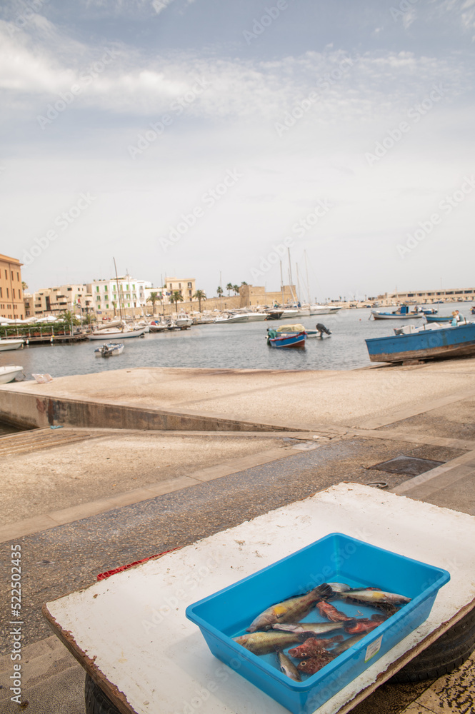 Fresh catch at Bari's Harbour, Apulia