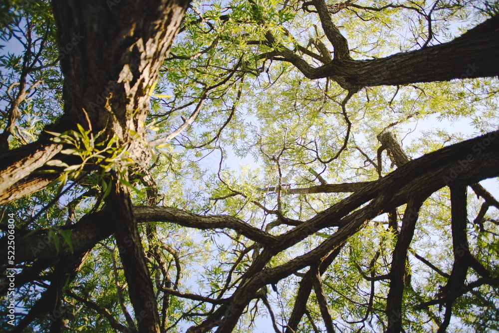Naklejka premium Presquile Provincial Park in Ontario, Canada.