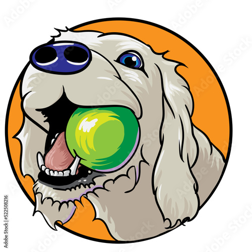 cane