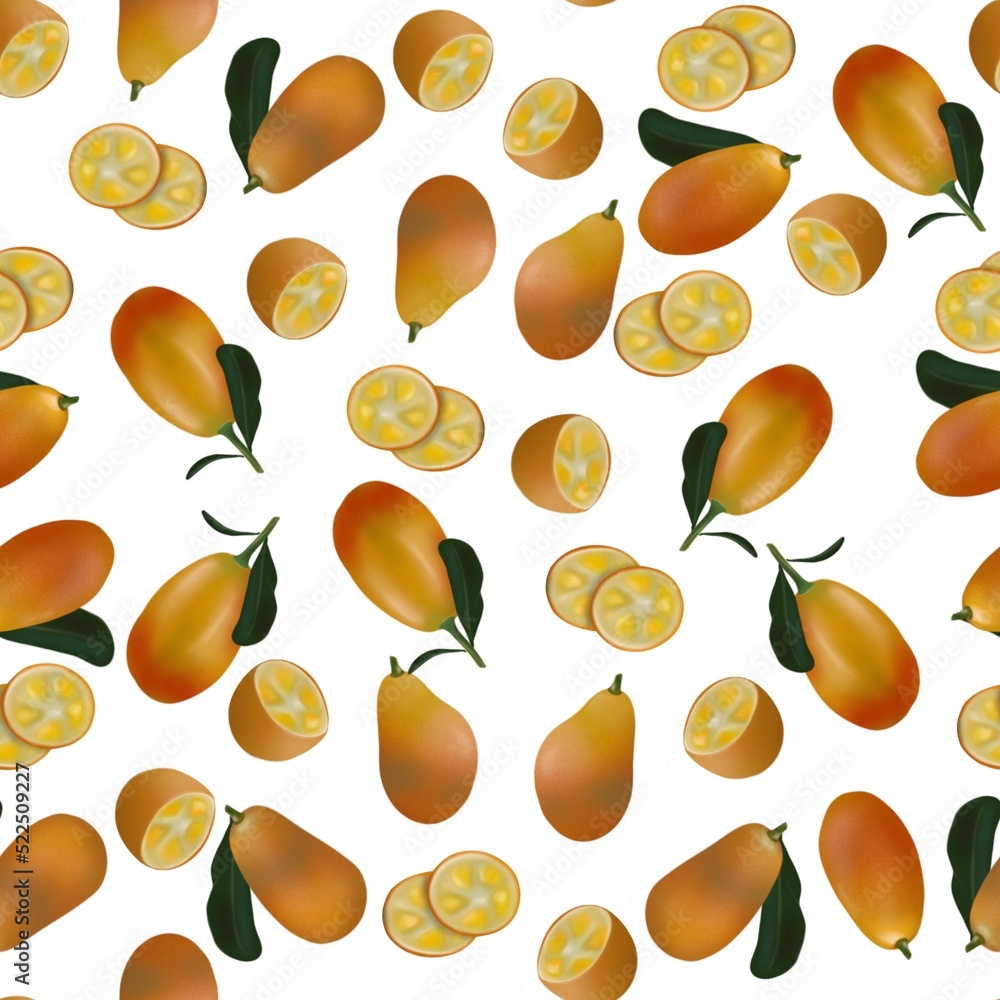Kumquats botanical illustration of whole and sliced fruits. Kumquat design for packaging and essential oils, textile and seamless print on white background. Kumquat