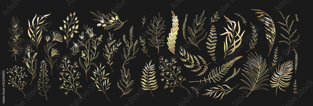 Set of floral branches and leaves. Botanical blooming. Vector ornamental herbs for logo or tattoo. Hand drawn line wedding herb, elegant wildflowers. Wedding design