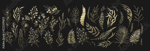 Set of floral branches and leaves. Botanical blooming. Vector ornamental herbs for logo or tattoo. Hand drawn line wedding herb, elegant wildflowers. Wedding design