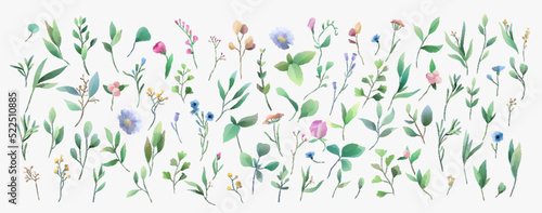 Set of luxury green leaves and flowers elements in watercolor style. Aquarelle trendy greenery branches and blooming. Vector isolated on white background for Invitation, greeting