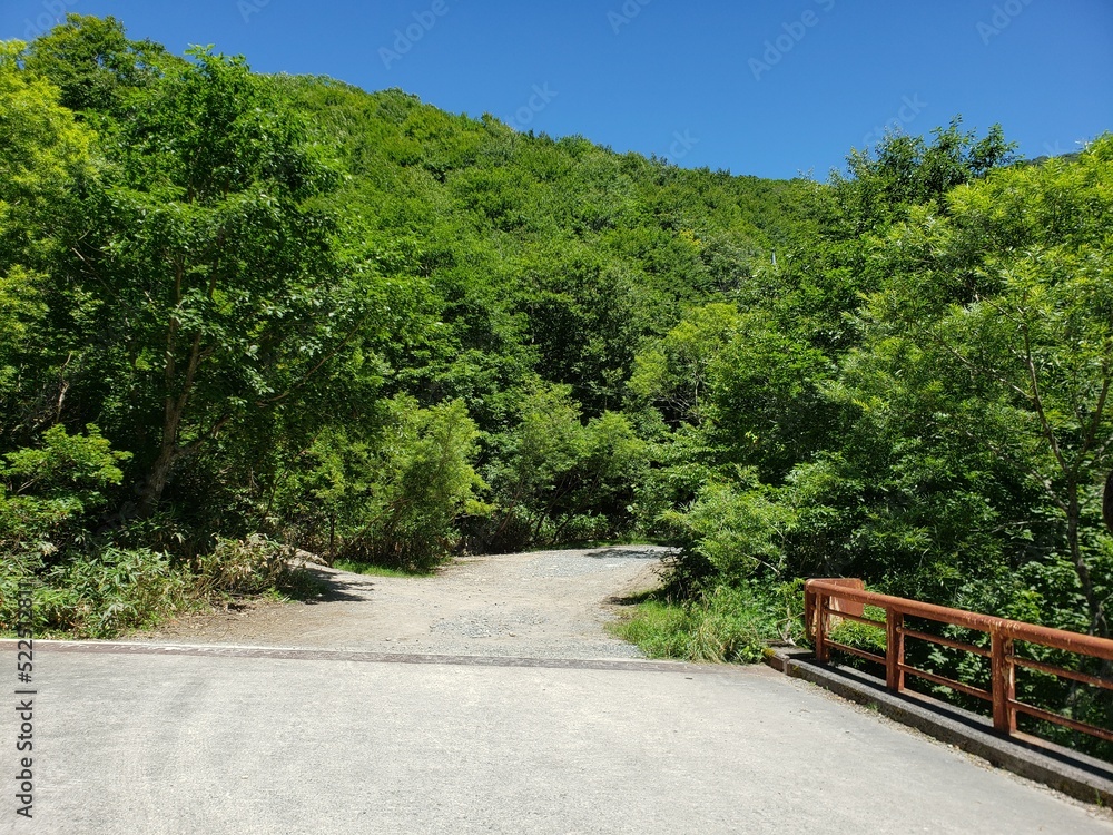 Obraz premium 山の天気