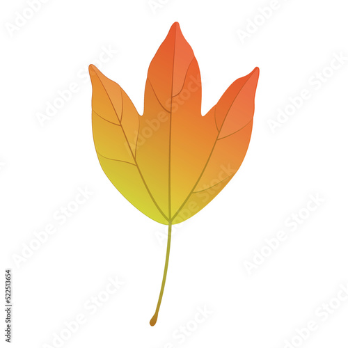 Vector illustration of an autumn trident maple leaf isolated on background.