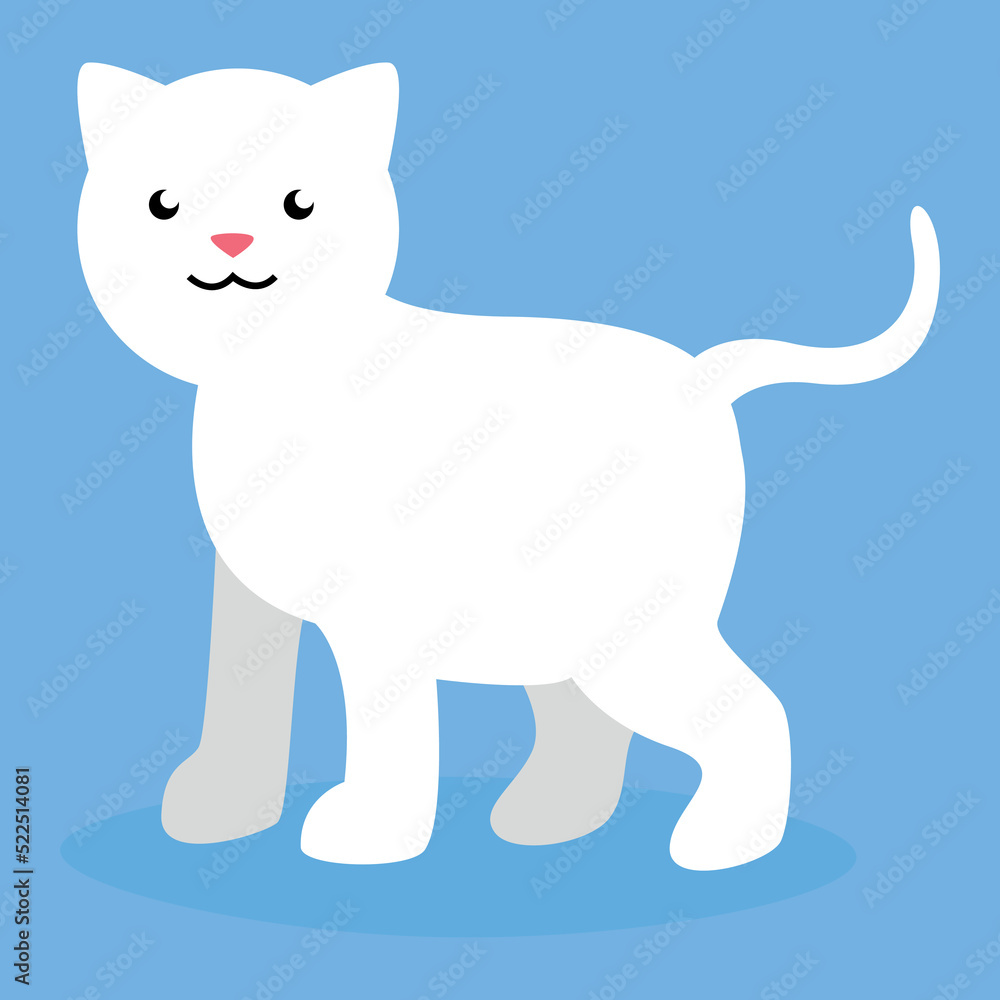 full length kitten on a blue background full length kitten on a blue background