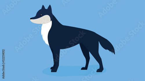 standing wolf on blue background