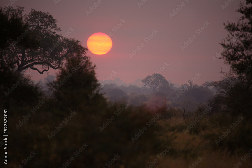 Sonnenaufgang - Krüger Park Südafrika / Sunrise - Kruger Park South Africa / Sonnenaufgang - Krüger Park Südafrika / Sunrise - Kruger Park South Africa /