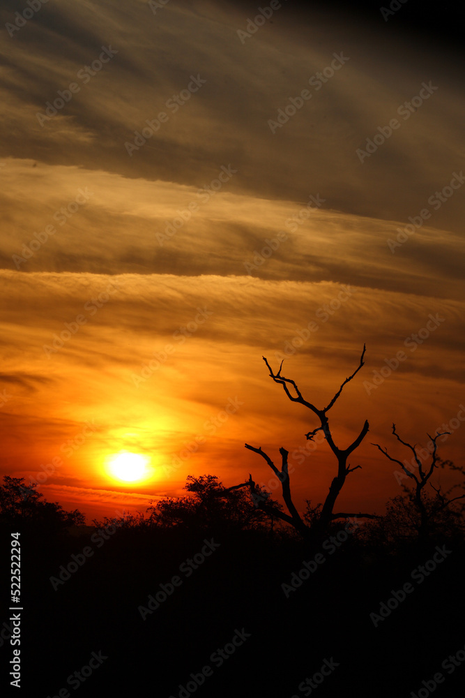 Sonnenaufgang - Krüger Park Südafrika / Sunrise - Kruger Park South Africa /