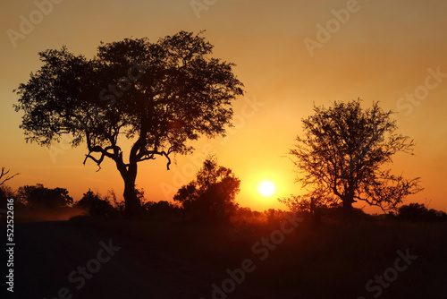 Sonnenaufgang - Kr  ger Park S  dafrika   Sunrise - Kruger Park South Africa  