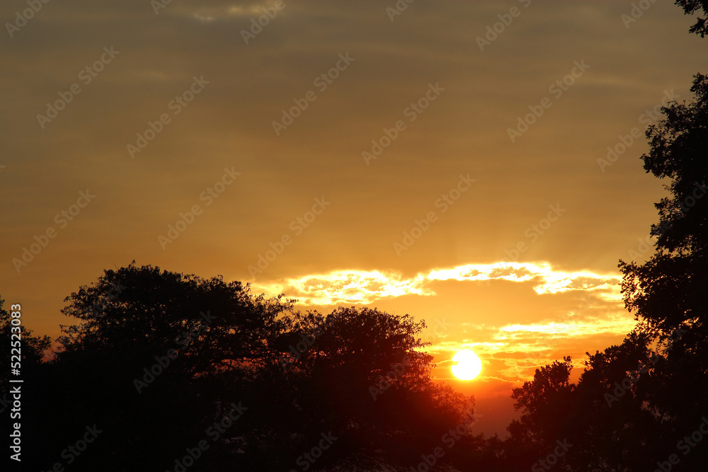 Sonnenaufgang - Krüger Park Südafrika / Sunrise - Kruger Park South Africa /