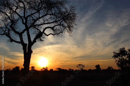Sonnenaufgang - Kr  ger Park S  dafrika   Sunrise - Kruger Park South Africa  