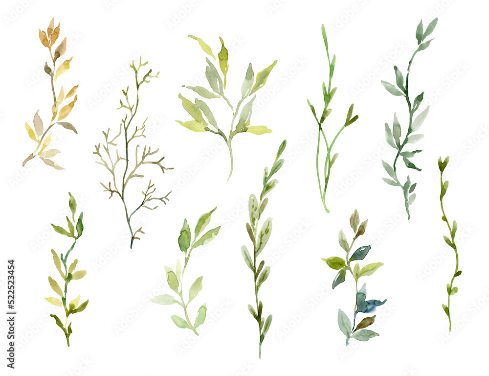 Watercolor greenery sprigs & leaves Watercolor greenery sprigs & leaves