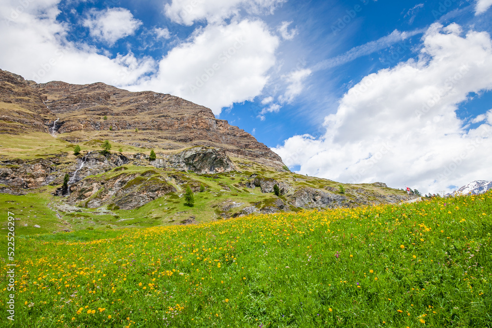 Idyllic swiss landscape at springtime and Zermatt meadows, Switzerland