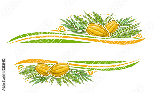 Vector border for Sukkot with blank copy space for congratulation text, decorative greeting card with illustration of traditional four species leaves for sukkot judaic celebration on white background