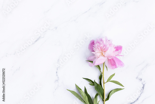 Beautiful pink peony flowers on white marble background, copy space for your text, top view, flat lay style. Happy mothers day greeting card mockup. International Woman Day. Valentines day template
