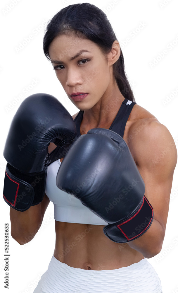 Young Female Boxer in Boxing Stance Pose on Transparent Background Stock  Photo