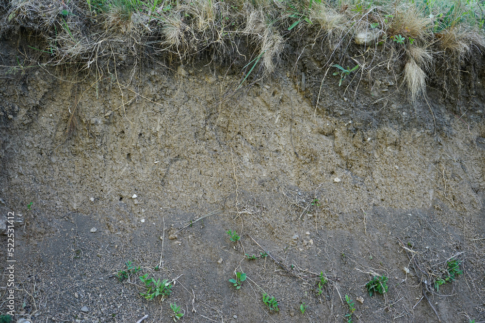 Texture layers of the earth. Cross-section in the soil. Texture layers of the earth. Cross-section in the soil.
