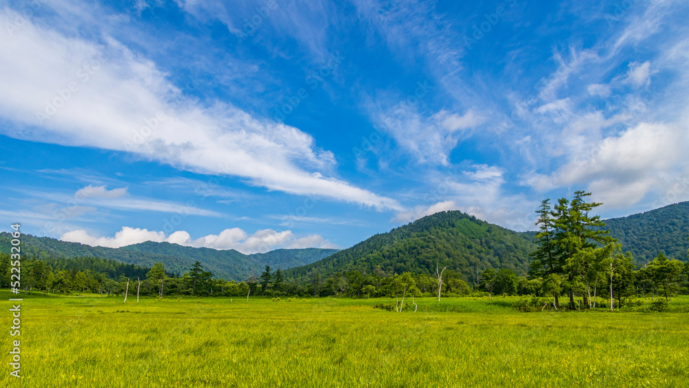 Fototapeta premium 夏の尾瀬 晴天 高層湿原