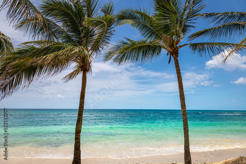 Tropical paradise: caribbean beach with palm trees, Montego Bay, Jamaica