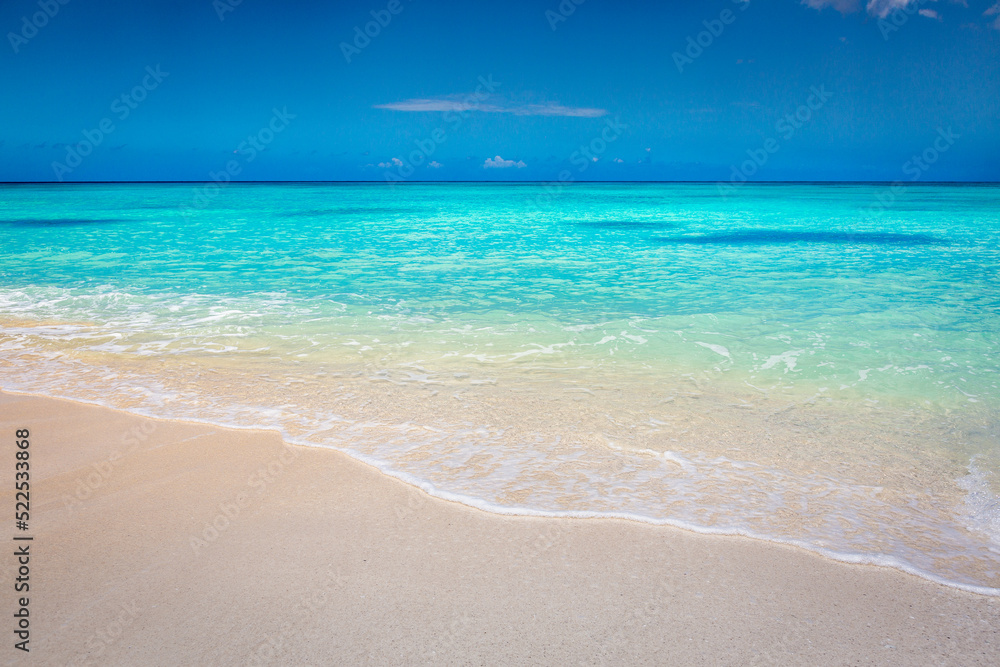 Tropical paradise: idyllic caribbean beach, Punta Cana, Saona Island