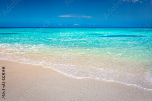 Tropical paradise: idyllic caribbean beach, Punta Cana, Saona Island © Aide