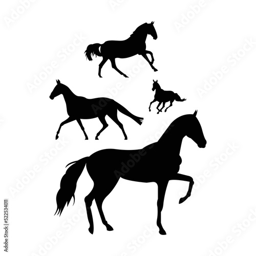 silhouette of a horse