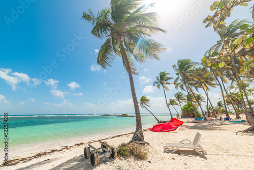 Palm trees and white sand in La Caravelle beach in Guadeloupe