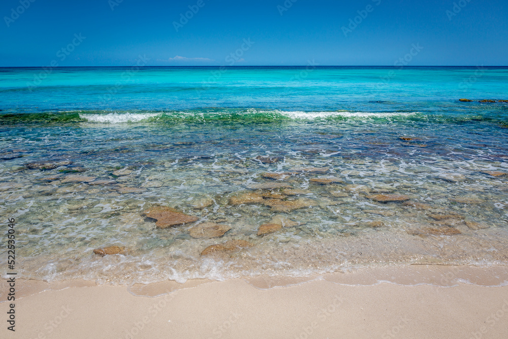 Tropical paradise: idyllic caribbean beach, Punta Cana, Saona Island