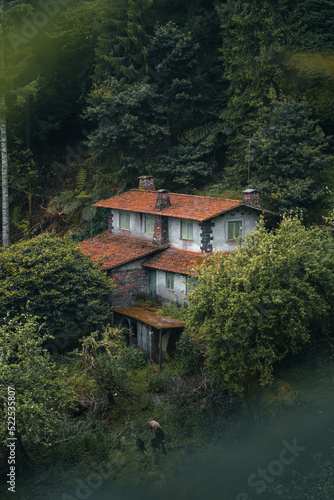 An abandoned house hidden in a green nature covered in a light mist. High quality photo