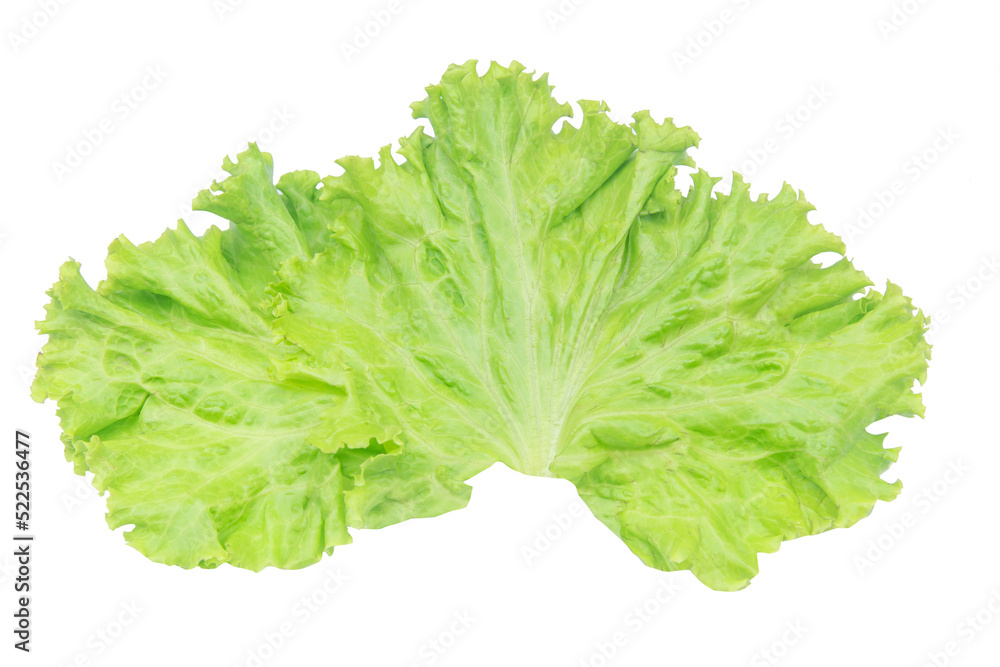 Salad leaf. Lettuce isolated on white background with clipping path. Salad leaf. Lettuce isolated on white background with clipping path.