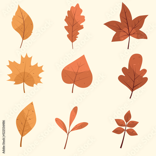 Autumn leaves collection. Fall leaves flat vector illustration