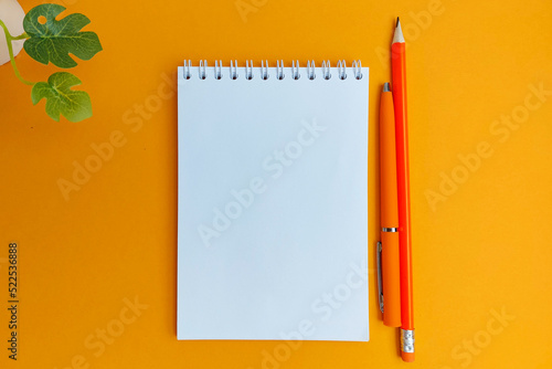 Top is plant. On an orange background is a notebook, an orange pen, an orange pencil. View from above. photo