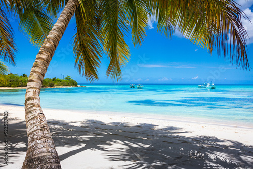 Tropical paradise  caribbean beach with single palm tree and boat  Punta Cana