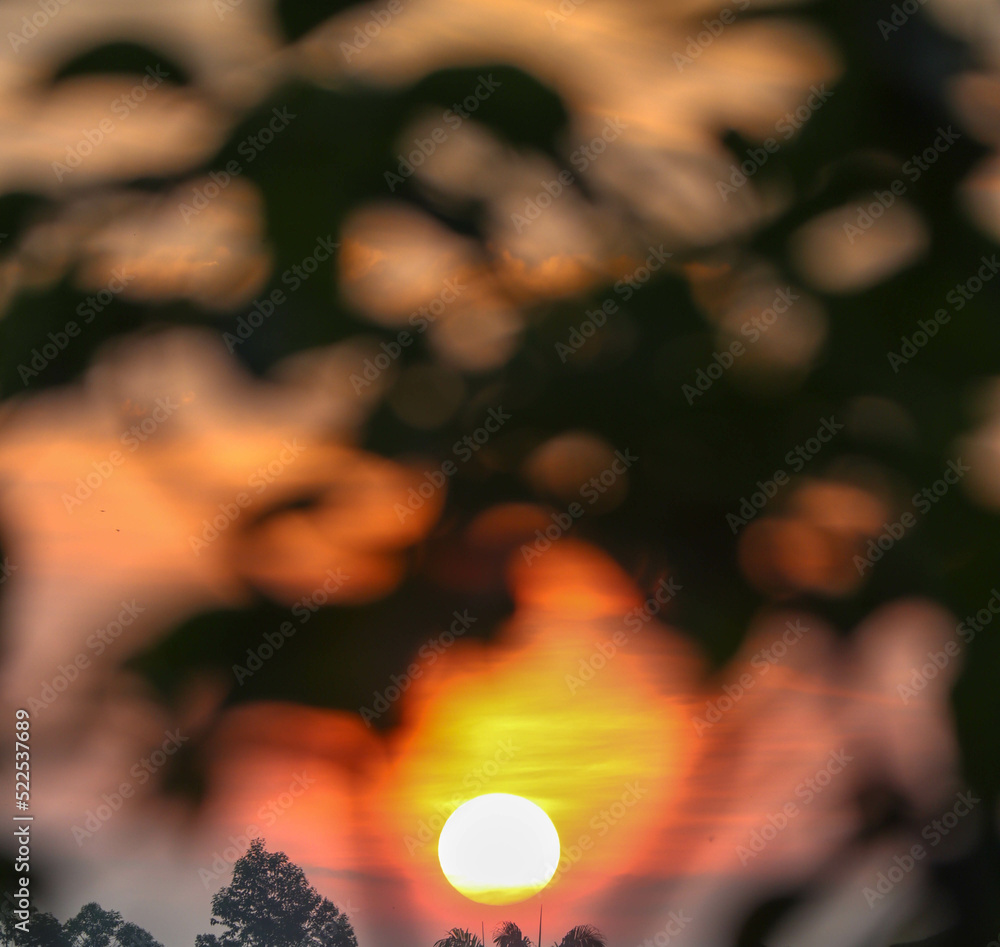 sunrise with blur tree silhouette