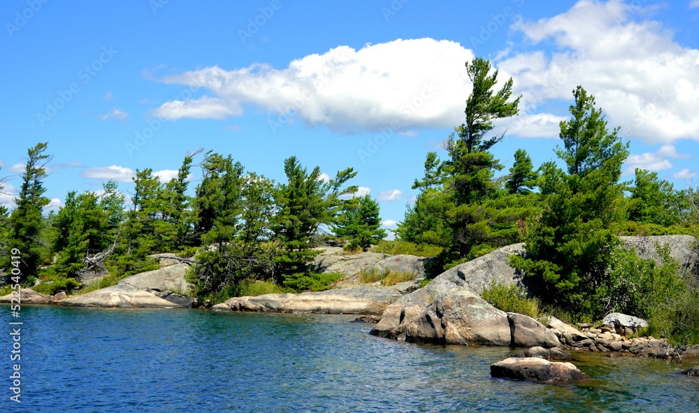 Windswept Pine trees on weathered granite islands in Georgian Bay Ontario Canada
