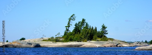 Windswept Pine trees on weathered granite island in Georgian Bay Ontario Canada photo