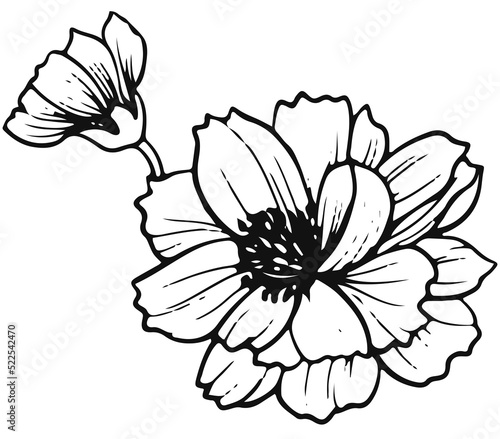 Sketch of flower element. hand-drawings monochrome.