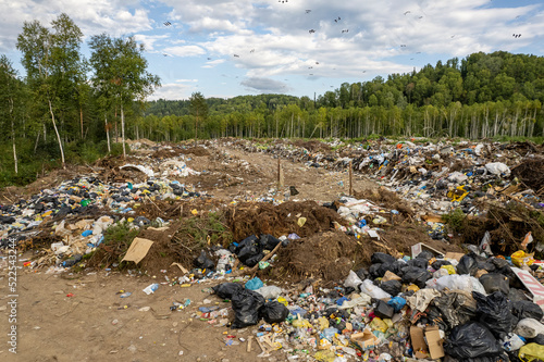 Garbage area in forest