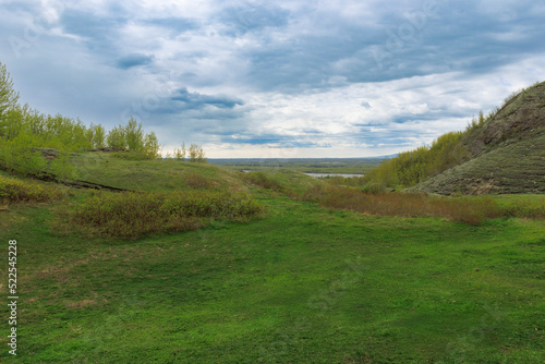 Verdant Fields