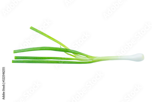 Green onion