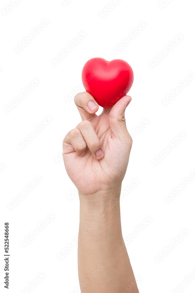 Red heart ball : Stress reliever foam ball the red heart shape on woman hand isolated on white background with clipping path Red heart ball : Stress reliever foam ball the red heart shape on woman hand isolated on white background with clipping path
