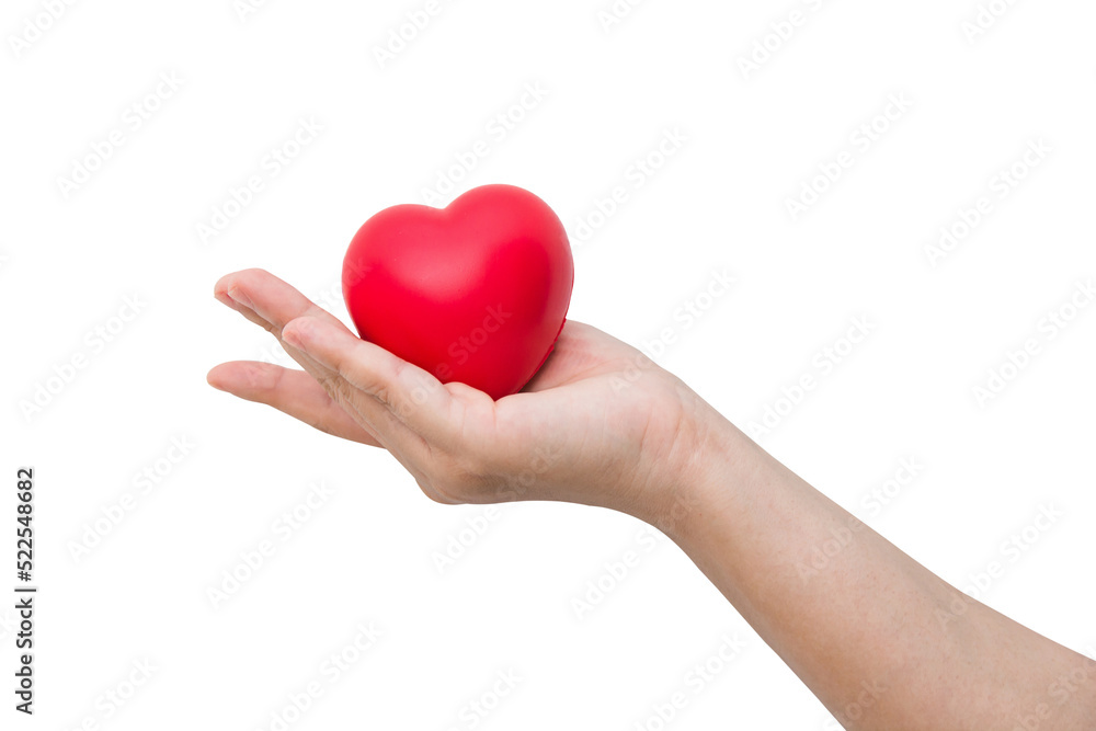 Red heart ball : Stress reliever foam ball the red heart shape on woman hand isolated on white background with clipping path Red heart ball : Stress reliever foam ball the red heart shape on woman hand isolated on white background with clipping path