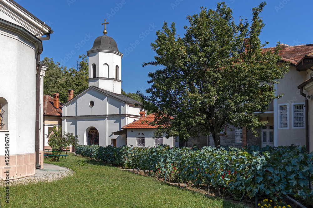 Medieval Rakovica Monastery, Serbia