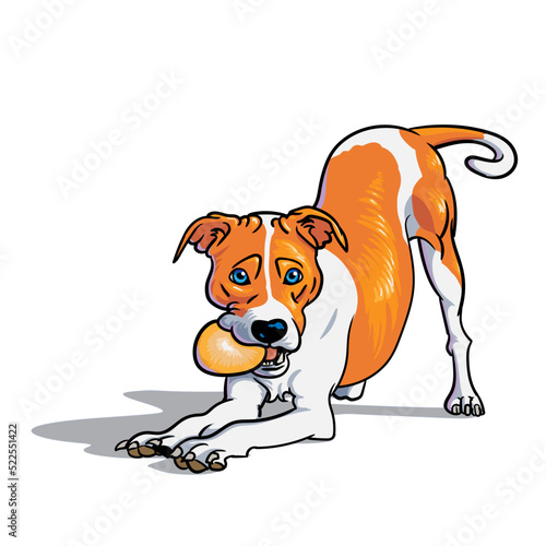 cane che invita al gioco